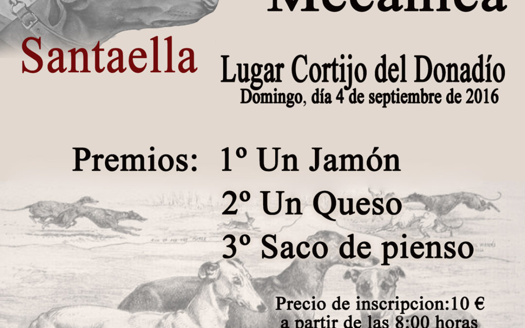 CARRERA DE LIEBRE MECÁNICA