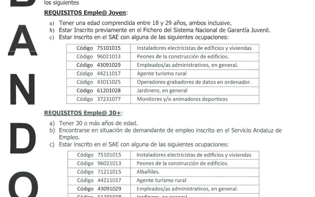 PROGRAMAS EMPLE@JOVEN Y EMPLE@30+