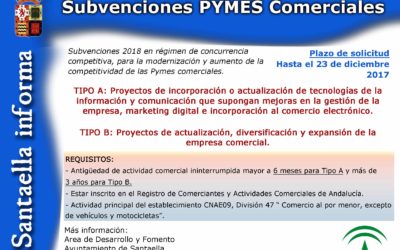 SUBVENCIONES PYMES COMERCIALES