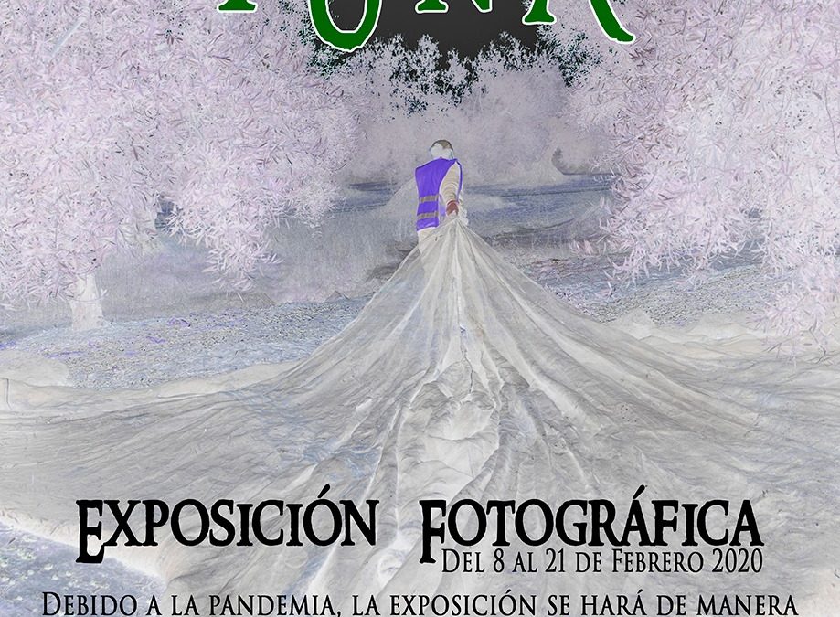 EXPOSICIÓN FOTOGRÁFICA «ACEITUNA» 2021