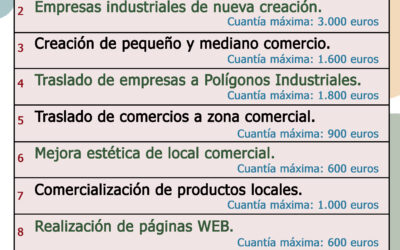 SUBVENCIONES MUNICIPALES PARA EL FOMENTO EMPRESARIAL 2024